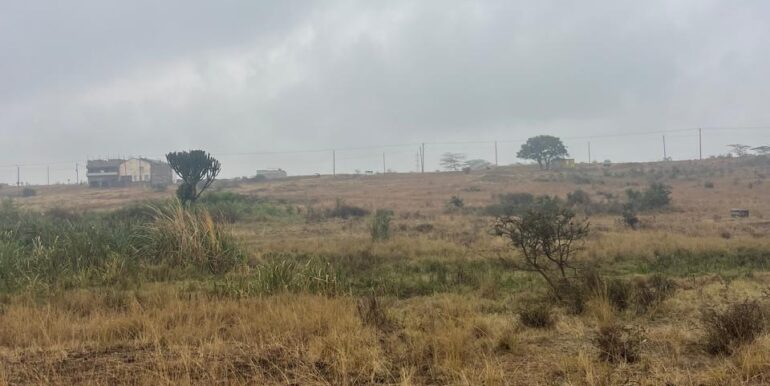 WhatsApp Image 2025-09-16 at 13.42.37_16515aea