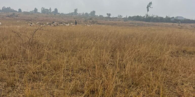 WhatsApp Image 2025-09-16 at 13.42.40_bad7c51b