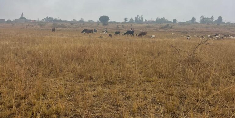 WhatsApp Image 2025-09-16 at 13.42.51_54fe9d8c