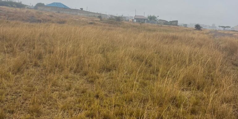 WhatsApp Image 2025-09-16 at 13.42.51_8f091942