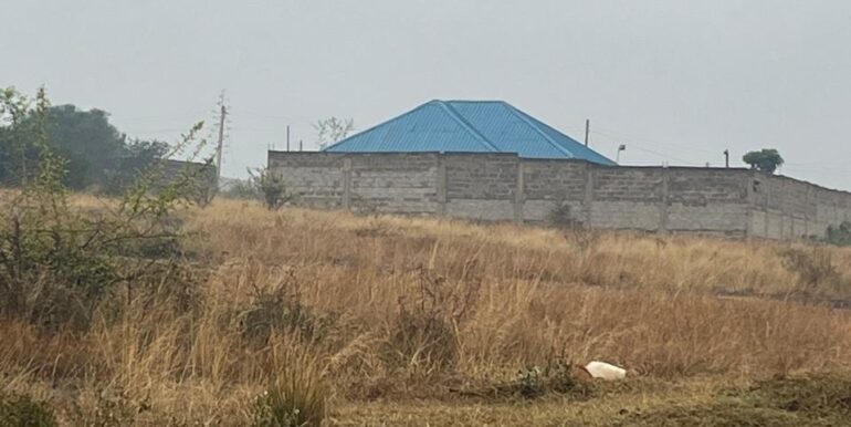 WhatsApp Image 2025-09-16 at 13.42.52_34bd5ac2